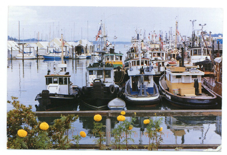 Postcard